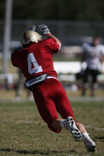 开云体育官网app-欧洲足球国家队之间的对抗备受瞩目