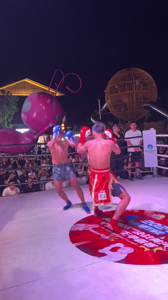 津巴布韦拳击选手敢拼敢斗，向金牌发起冲击的简单介绍